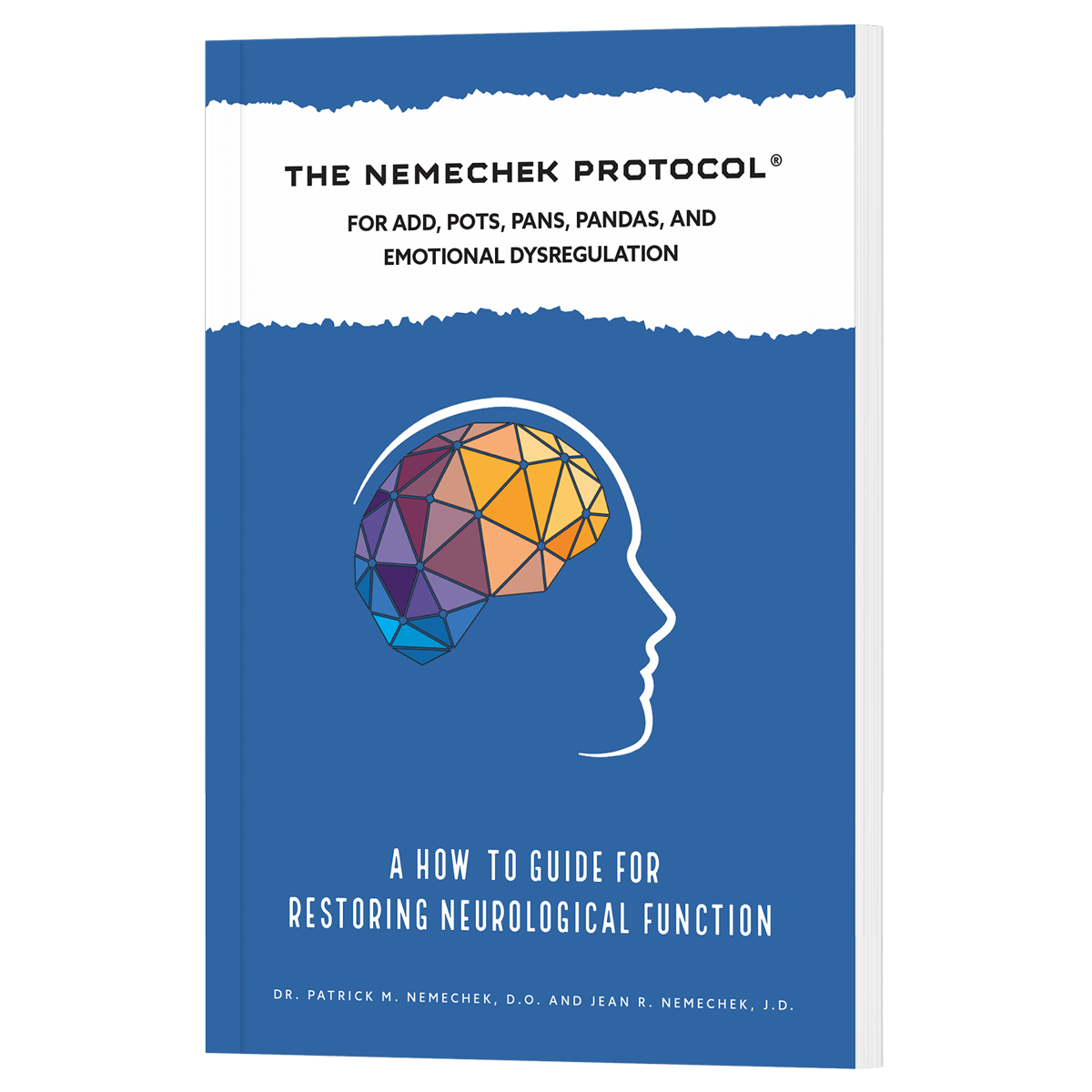 The Nemechek Protocol for ADD, POTS, PANS, PANDAS and Emotional Dysregulation — print book cover
