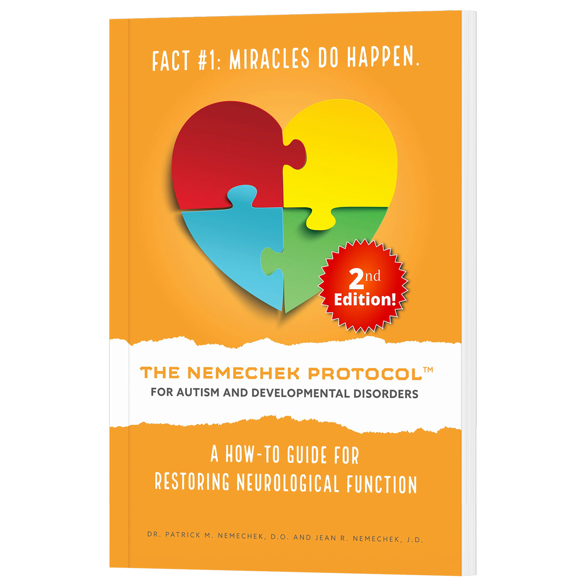 2nd Ed., The Nemechek Protocol for Autism and Developmental Disorders - PRINT