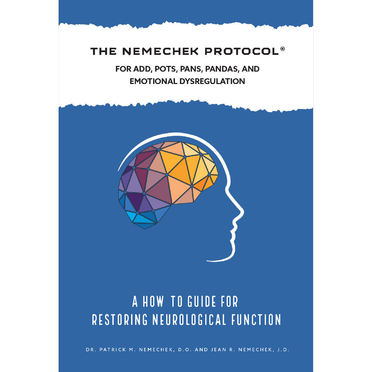 The Nemechek Protocol for ADD, POTS, PANS, PANDAS and Emotional Dysregulation — eBook cover