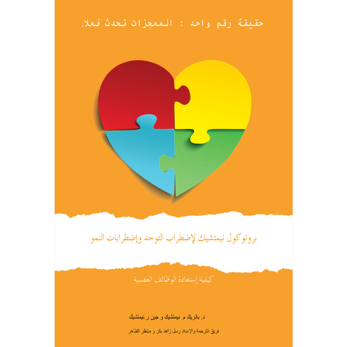 The Nemechek Protocol for Autism 1st edition Arabic eBook cover