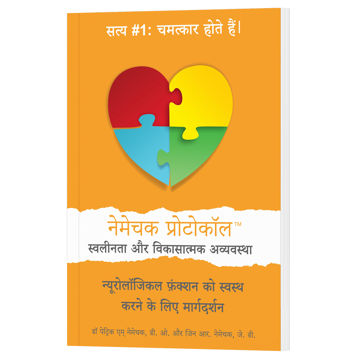 The Nemechek Protocol for Autism 1st edition Hindi paperback cover