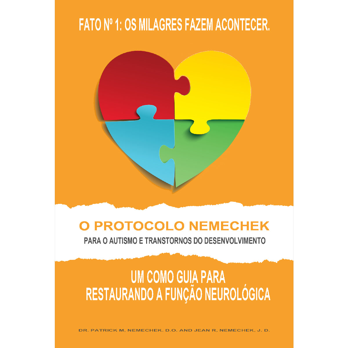 The Nemechek Protocol for Autism 1st edition Portuguese eBook cover