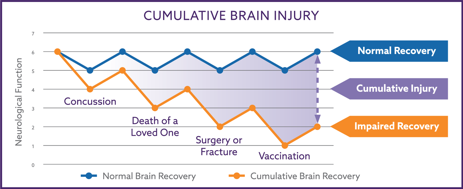 2nd Ed., The Nemechek Protocol for Autism and Developmental Disorders - PRINT